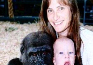 小姐姐喂猩猩,小姐姐与猩猩的亲密互动